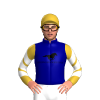 Navy Blue, Strong Bloodstock Logo, Navy Blue Sleeves, White And Old Gold Chevrons, Old Gold Cap