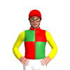 Red and Green Quarters, Yellow Sleeves, Red Cap