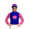 Navy Blue, Pink Disc With Navy Blue KO, Pink Sleeves, Hooped Cap