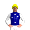 Deep Navy, White Southern Cross Stars, White Sleeves And Yellow Cap