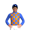 Royal Blue, Orange Checks, Royal Blue Sleeves, Checked Cap