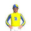 Yellow, Royal Blue Knight, Royal Blue And Yellow Stripe Sleeves, Yellow And Royal Blue Star Cap