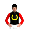 Black, Yellow Horseshoe, Red Sleeves
