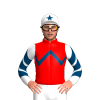 RED, INDIGO ZIGZAG CHEVRON, WHITE SLEEVES, INDIGO CHEVRONS, WHITE CAP, INDIGO STAR