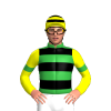 GREEN, BLACK HOOPS, YELLOW SLEEVES, GREEN ARMBAND, YELLOW CAP, BLACK HOOPS
