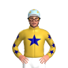 GOLD,NAVY STAR,LIGHT BLUE SLEEVES,NAVY STARS,LIGHT BLUE CAP,GOLD SPOTS, WHITE PEAK