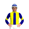 YELLOW, NAVY STRIPE, SLEEVES, YELLOW CHEVRON, LIGHT BLUE CAP, NAVY HOOPS, WHITE PEAK