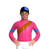 Pink, Brown Sash, Royal Blue Armbands And Quartered Cap