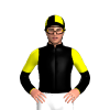 Black, Yellow Cross Outline, Diagonal Halved Sleeves, Quartered Cap