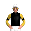 BLACK, GOLD FIVE STARS, GOLD SLEEVES, BLACK ARMBANDS, White cap