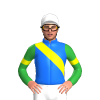 BLUE, YELLOW RIGHT SASH, GREEN SLEEVES ,YELLOW ARM BAND, White cap