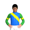 BLUE, YELLOW RIGHT SASH, GREEN SLEEVES ,YELLOW ARM BAND, Black cap