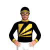 Jockey Silk