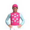Jockey Silk