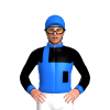 Jockey Silk