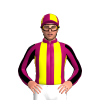 Jockey Silk