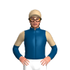 Jockey Silk