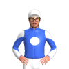Jockey Silk