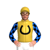 Jockey Silk