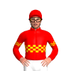 Jockey Silk