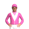 Jockey Silk