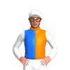 Jockey Silk