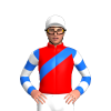 Jockey Silk
