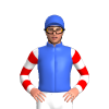 Jockey Silk