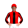 Jockey Silk