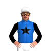 Jockey Silk