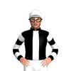 Jockey Silk