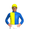 Jockey Silk