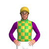 Green And Gold Checks, Purple Sleeves, Gold Cap