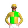 GOLD, LIME QUARTERS, GOLD SLEEVES, LIME SEAMS, GOLD CAP, LIME COLLAR