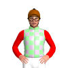 PALE GREEN , THISTLE CHECKS,RED SLEEVES, BROWN CAP , BLACK POM POM