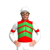 Red, Green Chevrons, White Sleeves, Red Armbands, White Cap