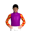 Purple, Gold And Red Checked Sleeves, Black Cap