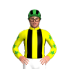 Yellow, Black Stripes, Bottle Green Stars Sleeves, Black Striped Cap
