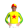 Yellow, Red Star, Green Striped Sleeves, Red And Yellow Quartered Cap
