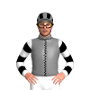 Grey, Black Seams, White Sleeves, Black Hoops, Grey Cap, Black Stripes