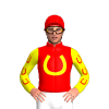 Red, Yellow Horseshoe And Sleeves, Red Horseshoes, Horseshoe Cap