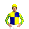 Yellow, Dark Blue Quarters And Crest, Yellow And Green Checked Sleeves, Yellow Cap