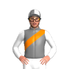 Grey, Orange Sash, White Sleeves, Grey And White Quartered Cap