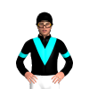 Black, Aqua Vee And Armbands