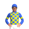 Royal Blue, Yellow Checks And Armbands