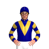 Navy Blue, Gold Vee, Hooped Sleeves, Seams Cap