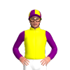 Yellow, Purple Checked Quarters, Purple Sleeves, Purple And Yellow Quartered Cap