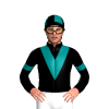 Black, Teal Vee, Armbands And Quartered Cap
