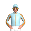 Light Blue, Bronze Seams, Striped Sleeves