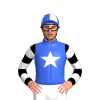 Royal Blue, White Star, Black And White Hooped Sleeves, Royal Blue And White Quartered Cap